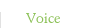 Voice