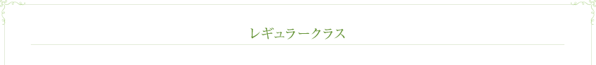 レギュラークラス